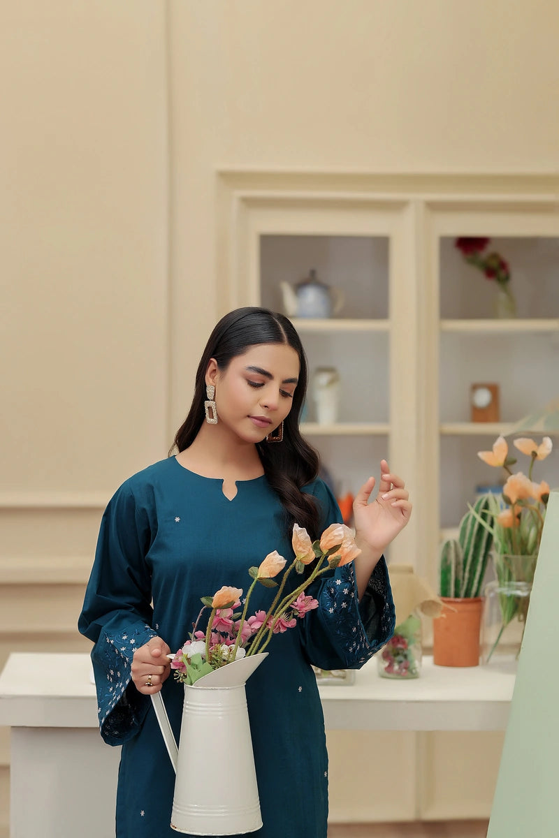 KW-113 | 2 Piece Stitched Lawn