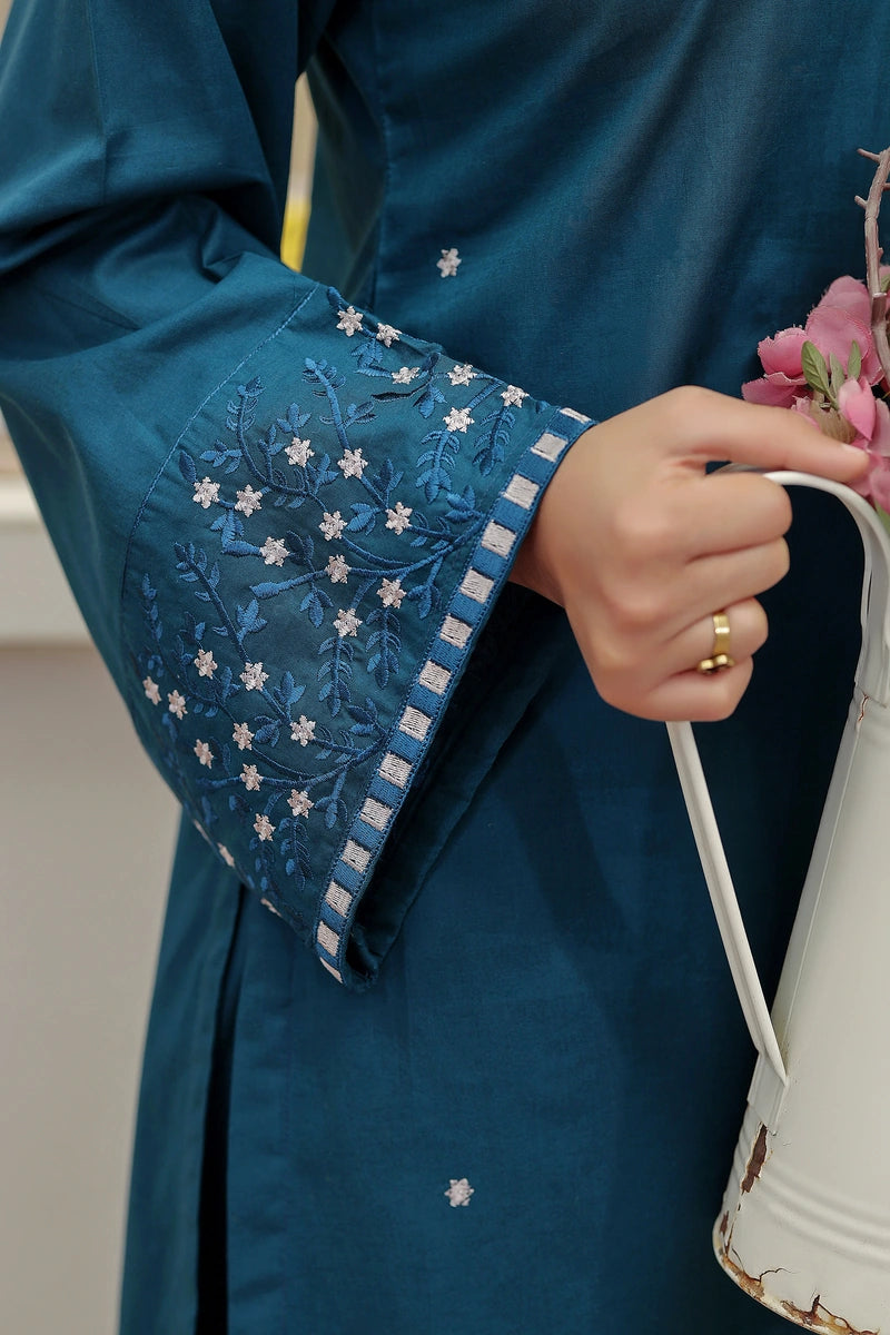 KW-113 | 2 Piece Stitched Lawn