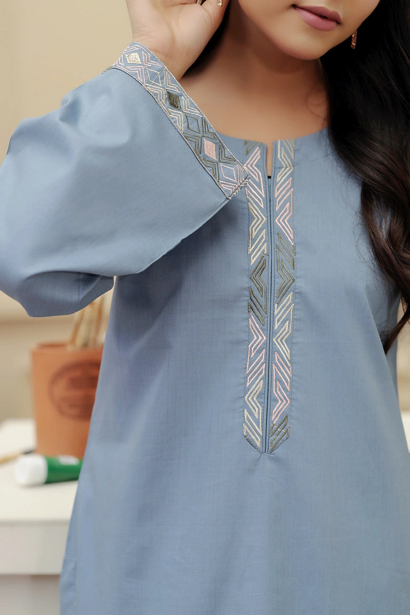 KW-114 | 2 Piece Stitched Lawn