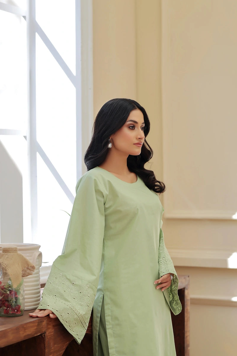 KW-117 | 2 Piece Stitched Lawn